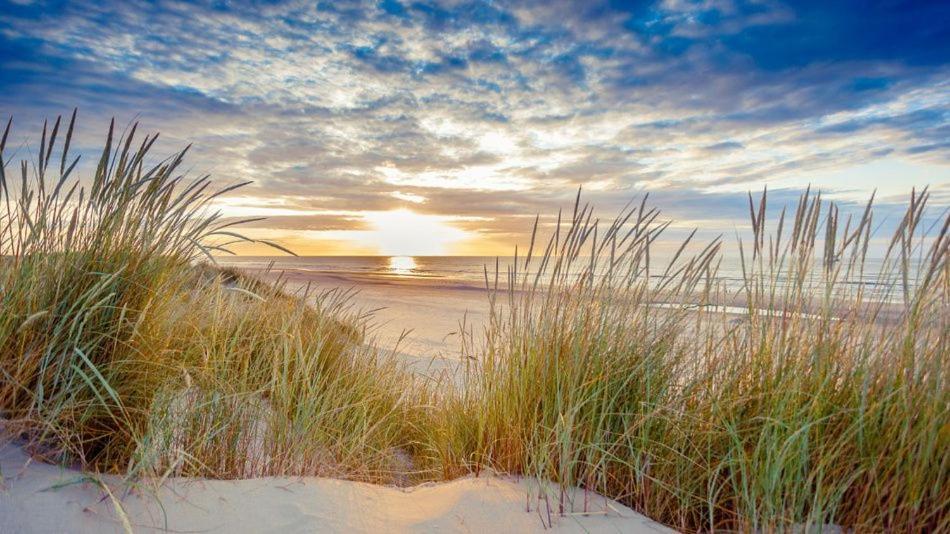 Appartement, Kaap 123 - Ameland هولوم المظهر الخارجي الصورة
